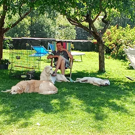 Il Giardino Dell'eden Rum i privatbostad