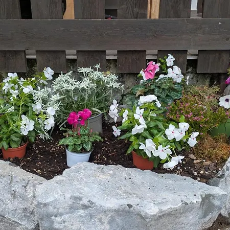 Il Giardino Dell'eden